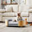 Inira Orthopedic Pet Bed-1950717271-1959448230