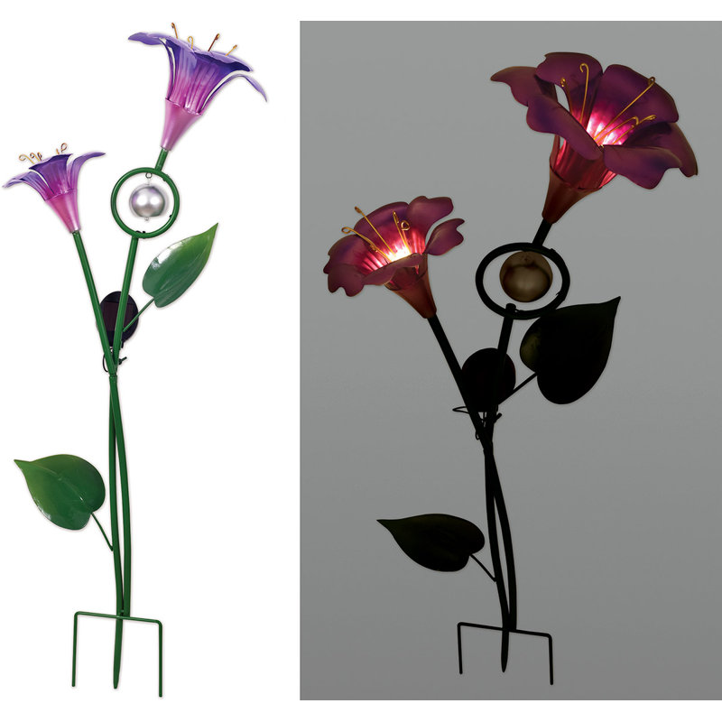 Piquet solaire Morning Glory