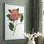 Reproduction encadrée pressée Camellia II - bois massif-309909434-309909437