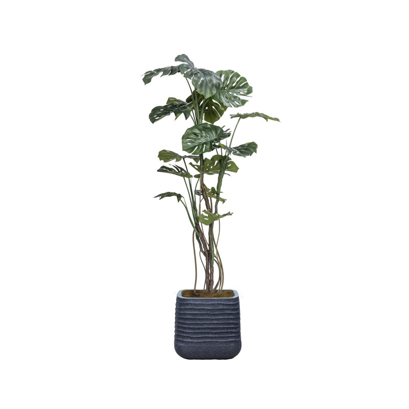 77,57 po Faux plante Monstera en pot, Bleu