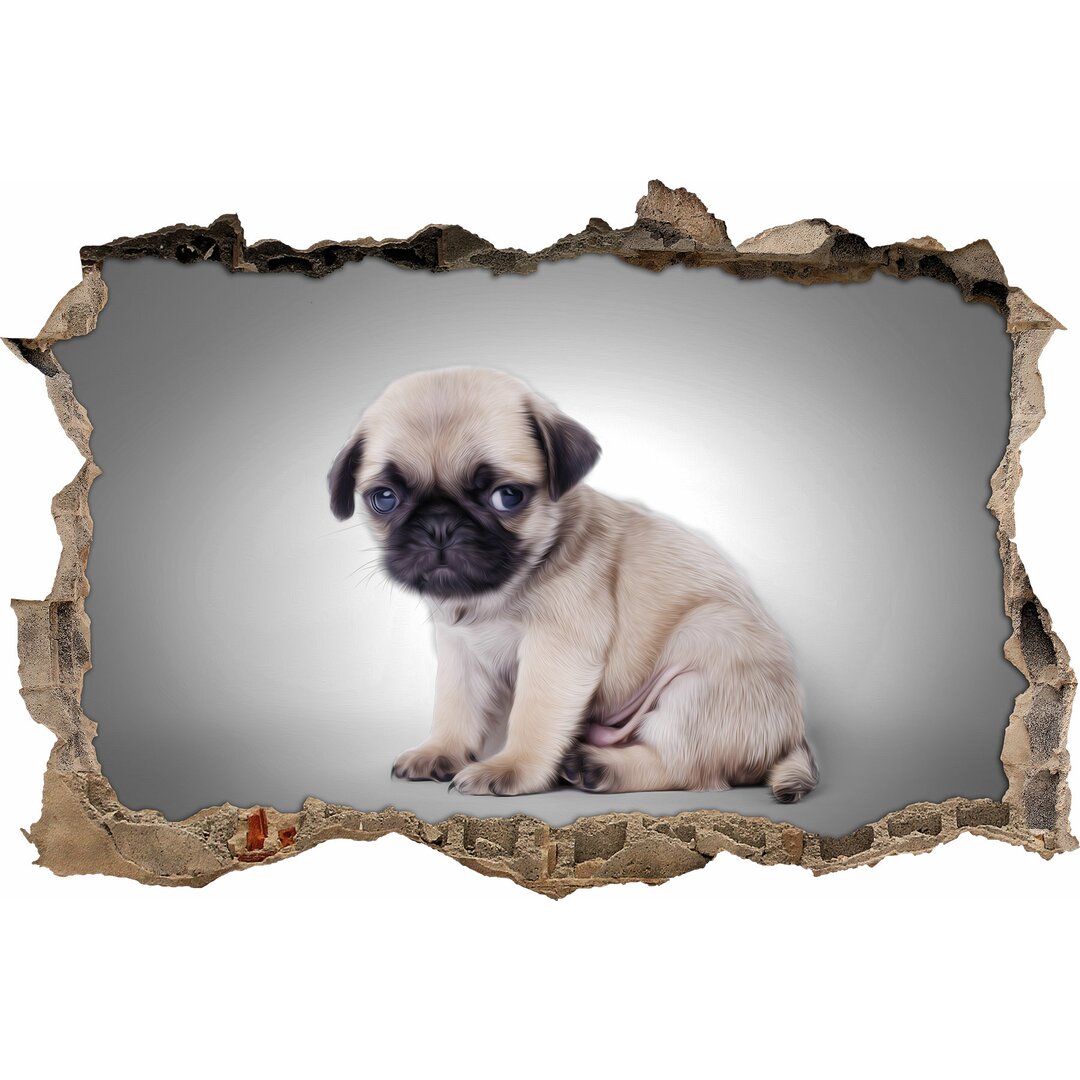 Sitzender Mops-Welpe vor grauem Hintergrund Wandsticker