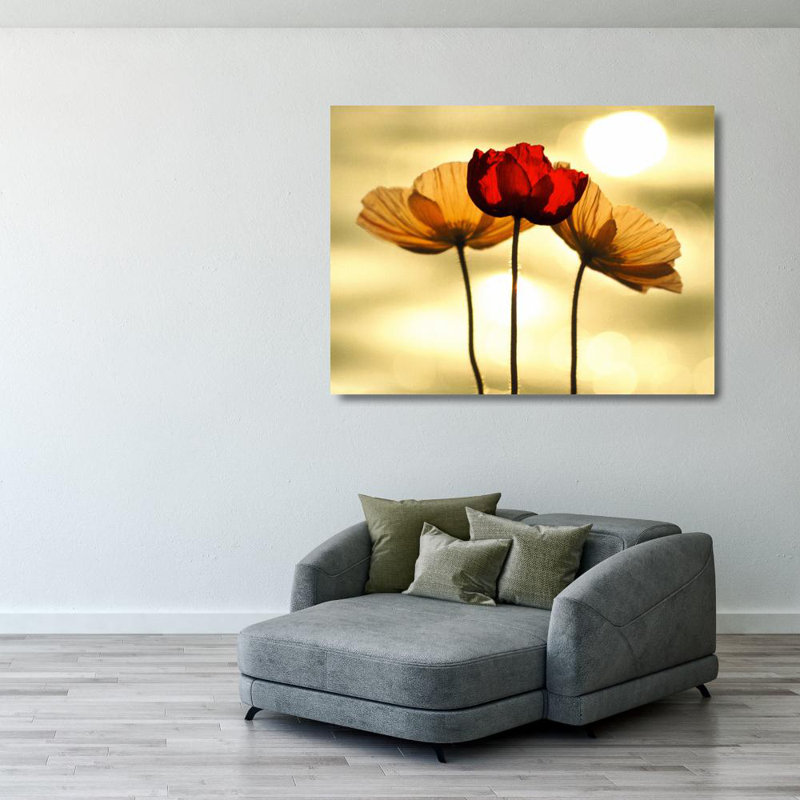 Icelandic Poppies IMA-22668D