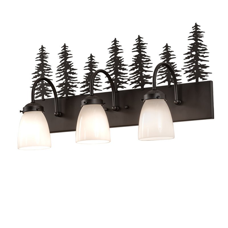 Vanity Light, Oil Rubbed Bronze, 13" H x 24" W x 8" D