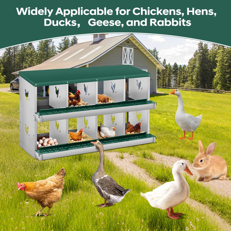 Boîte de nidification de poulet à 8 compartiments, nid de volaille autoportant à 2 couches pour poulets, poules, canards, boîtes de poules en métal