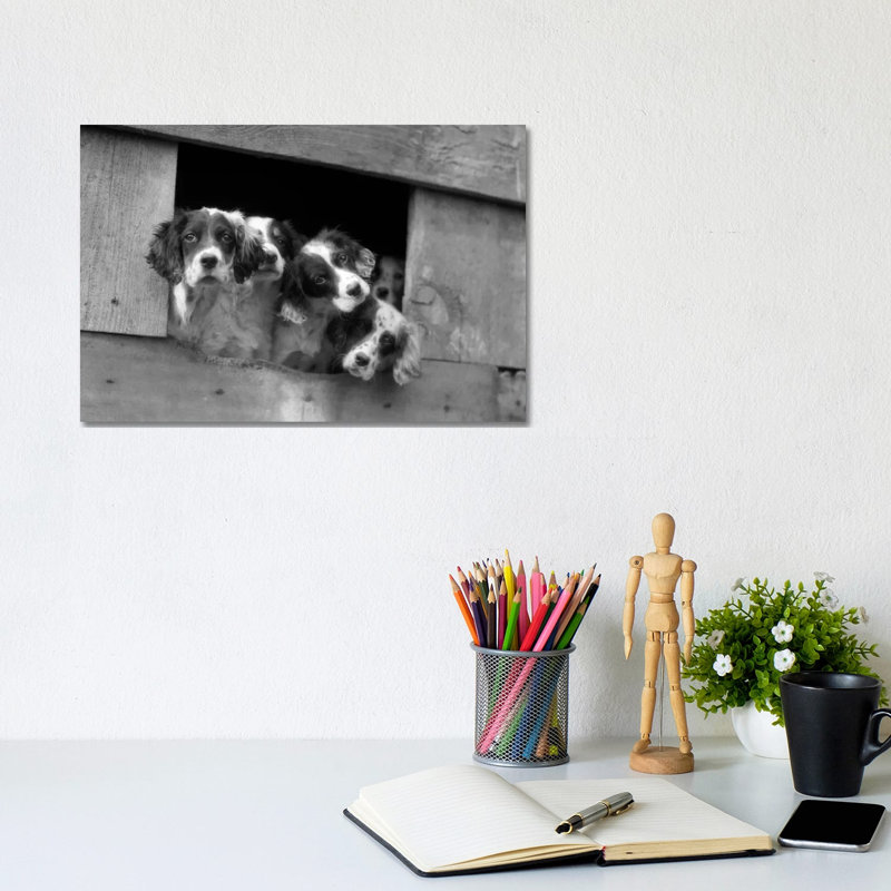 1920s-1930s Group Of English Setter Pups With Heads Sticking by Vintage Images - Wrapped Canvas Print