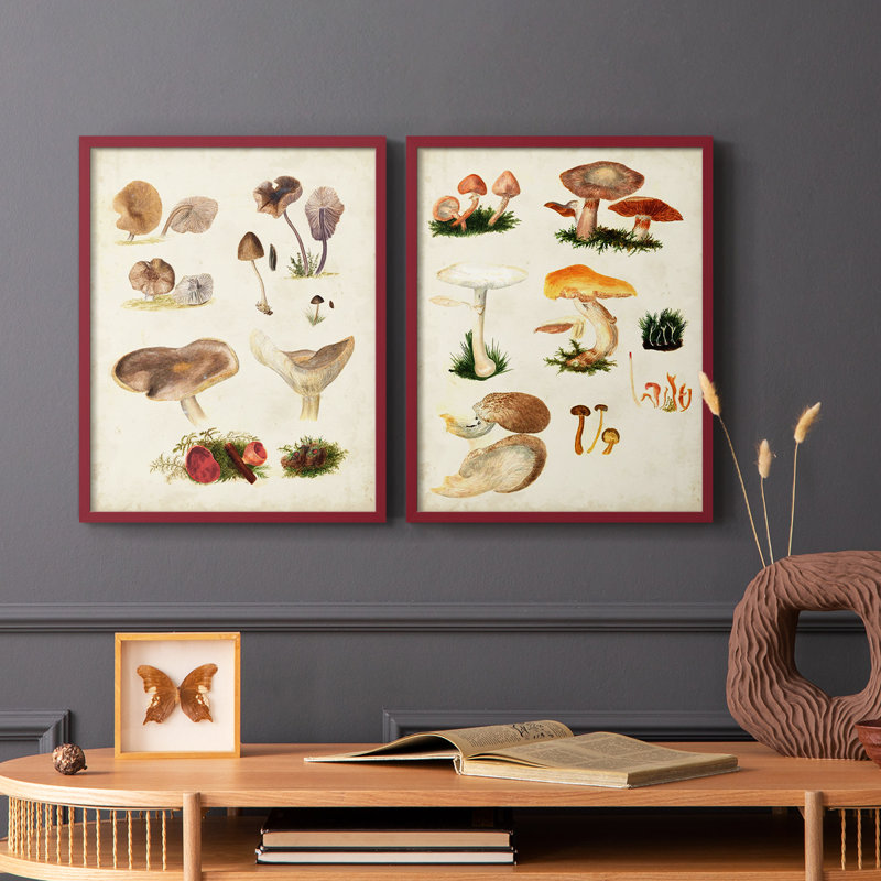 Champignon III - Reproduction encadrée de qualité supérieure - prêt à être accroché - aucun clou requis - aucun clou requis