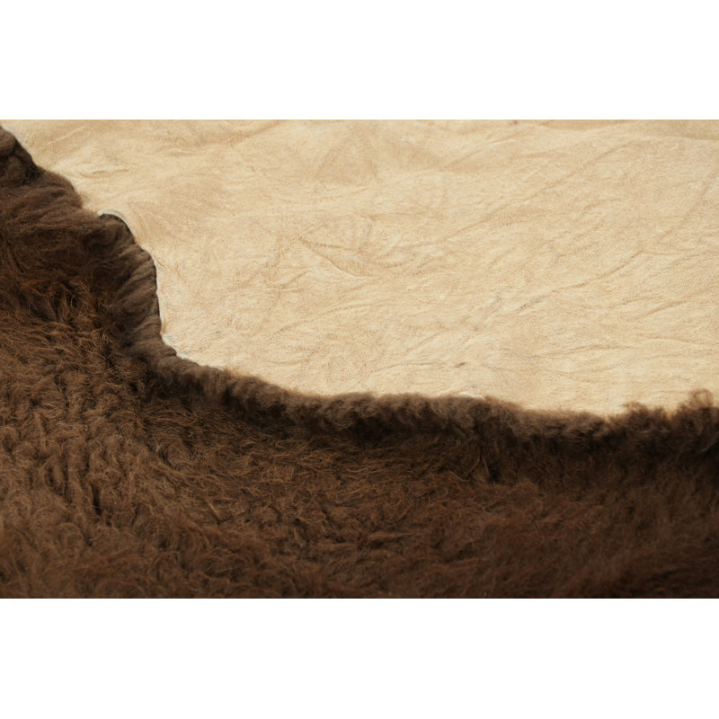 Rug & Kilim’S American Bison Hide Fur Rug In Chocolate Brown Tones