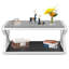 Bassik Floor Shelf Coffee Table with Storage