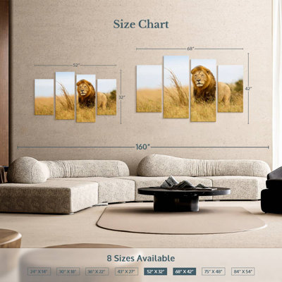 Lion safari Brampt