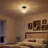 1-lamp Dimmable Clear Glass Flush mount light