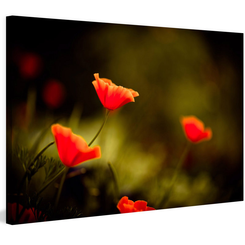 1 Piece Wrapped Canvas Wall Art, 101cm H x 152cm W x 3.81cm D