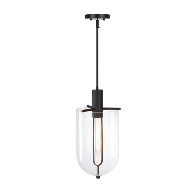 Luminaire suspendu noir mat à 1 lumière Fieldsboro 60 watts avec abat-jour en verre transparent