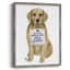 «Love and Golden Retriever», reproduction encadrée - bois massif