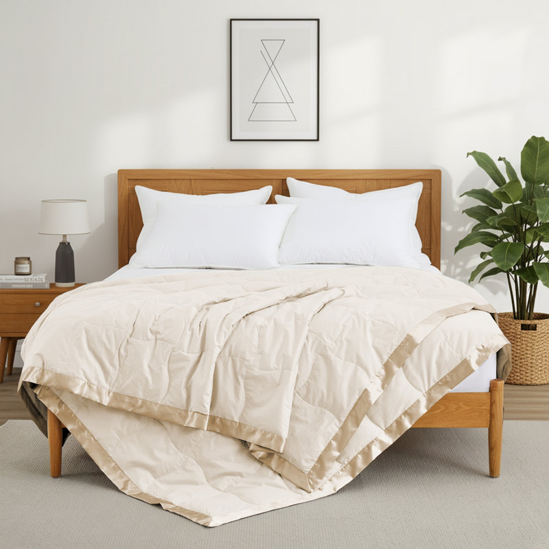 Couverture en duvet et fibre de duvet d'oie, édredon toutes saisons avec bordure en satin - Coquille douce et respirante - à superposer - Lavable à la machine