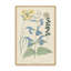 Salvia Florals II, reproduction d'art-114322028-114322024