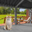 Perchoir pour chat Catio-879493504
