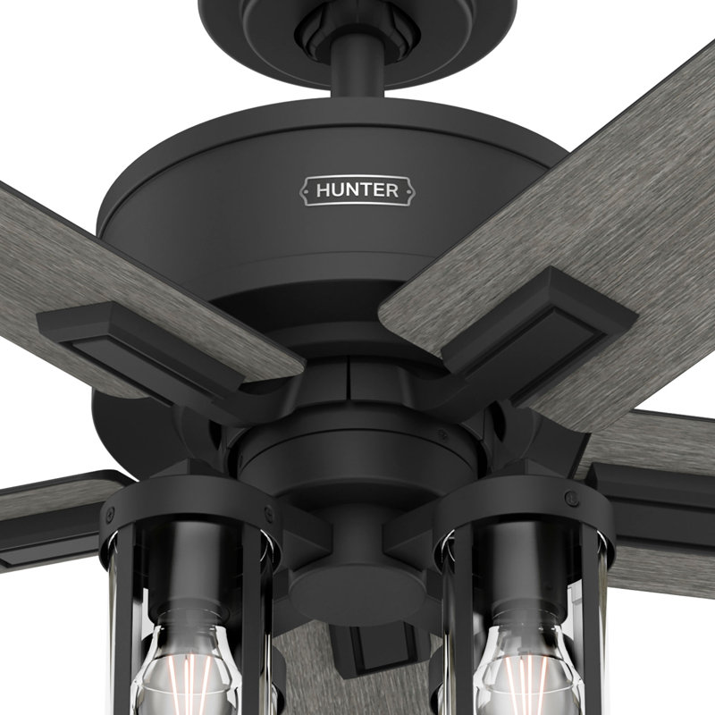 Ventilateur de plafond 52 po avec lumières et télécommande Hunter, Noir mat