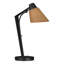 Reach 21.9" Desk Lamp-524582149-524582144