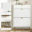 12 Pair Flip Down Shoe Storage