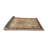 Oriental Indoor Rug-1697063180