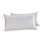 Wayfair Sleep™ Polyester Plush Pillow-1002670899