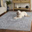 Tapis d'intérieur performant Chamber-659646843