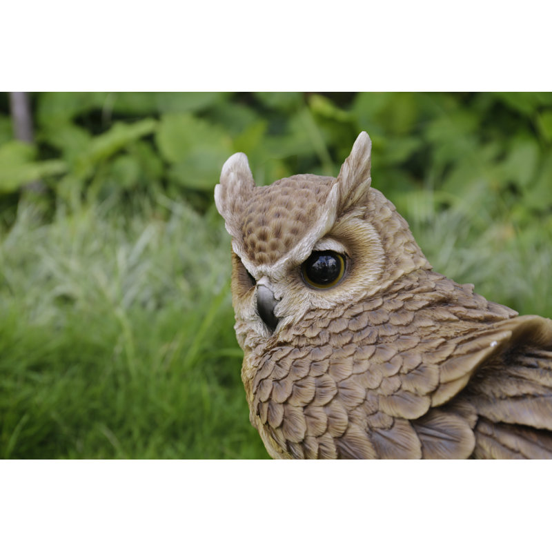 Large Brown Polyresin Long Eared Owl Statue