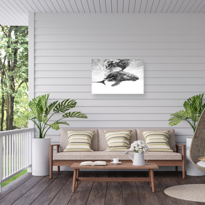 Canvas Animals Wall Decor
