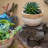 Rattan Pattern Edge Cement Planter-1896238334