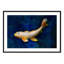 Butterfly Koi - Picture Frame Photograph on Paper -87885696-87885701