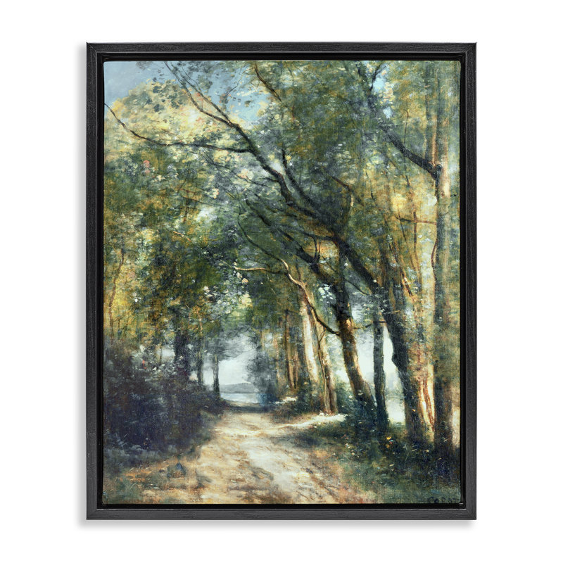 Forest Path Under Tree Canopy, 21" H x 17" W, Jet Black Floater Frame
