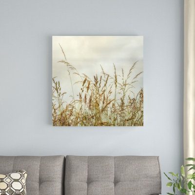 «Bluff Grass I» par Dianne Poinski - impression sur toile tendue
