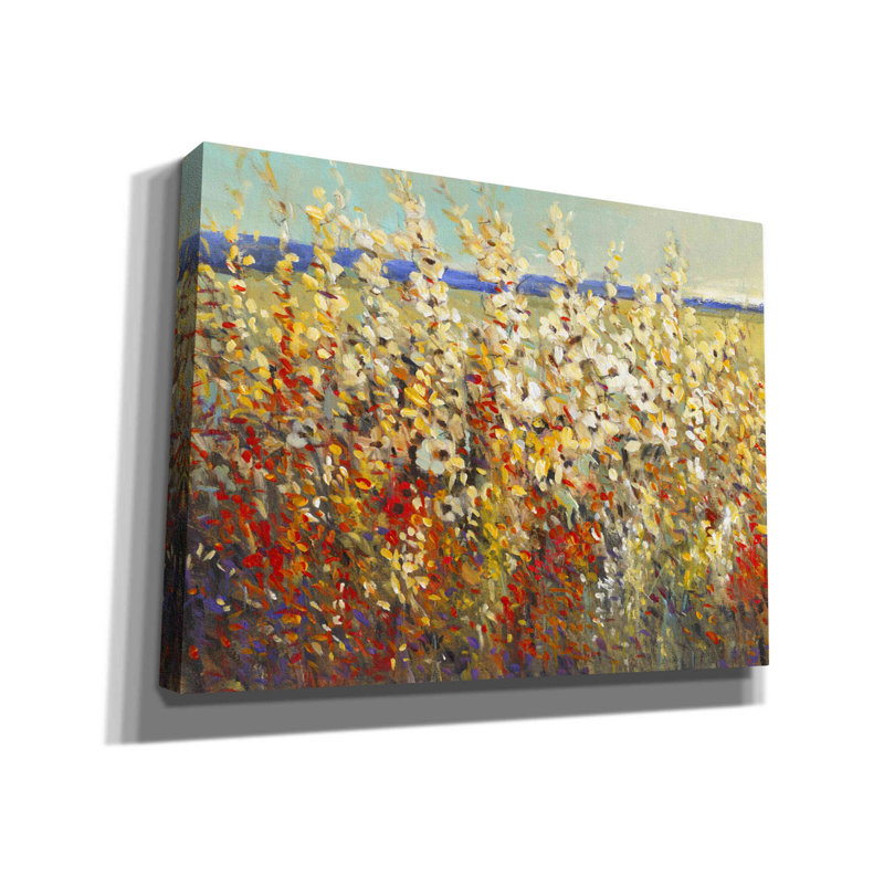 «Field of Spring Flowers II» par Tim O'toole, art mural sur toile, H 12 po x l 16 po x P 0,75 po