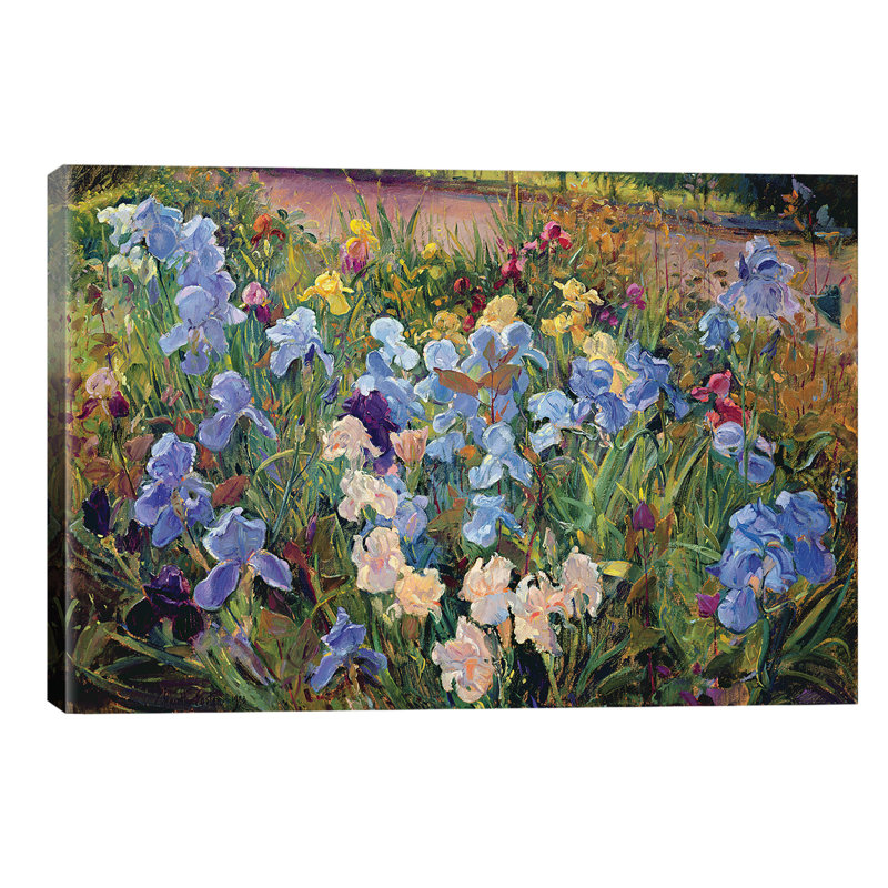 The Iris Bed by Timothy Easton - Wrapped Canvas Painting, 66.04 cm H x 45.72 cm W x 3.175 cm D