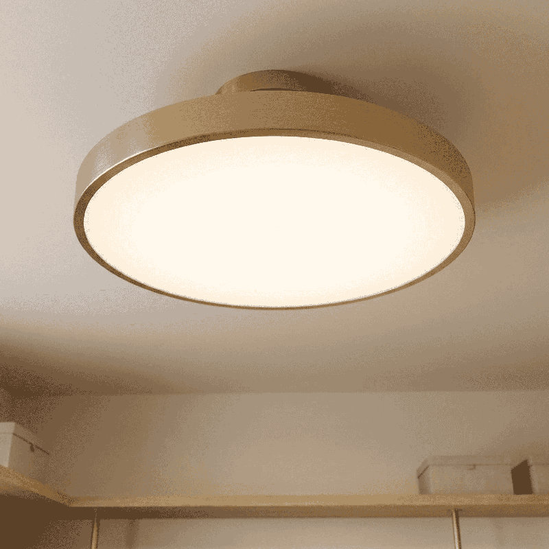  Plafonnier à DEL 1 lumière Thayer en laiton chaud Thayer, Laiton
