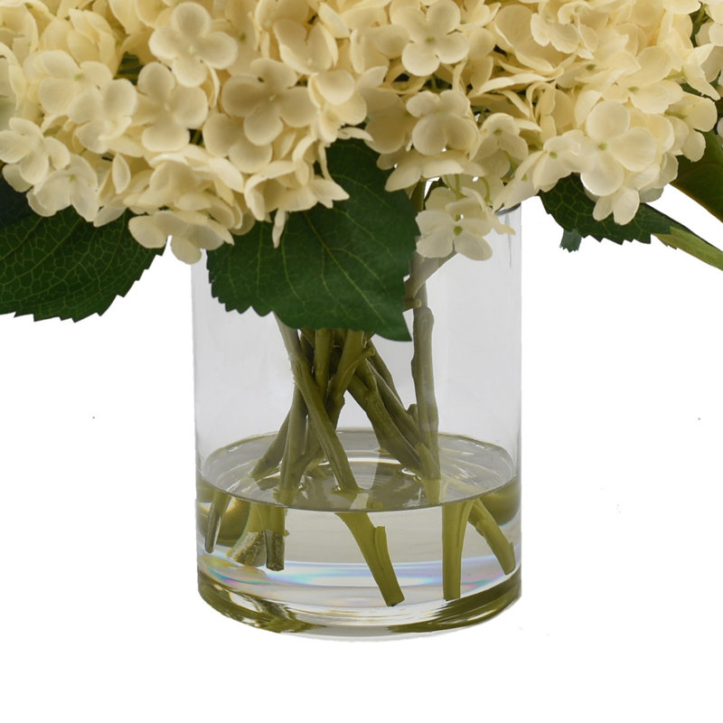 Hortensias en vase