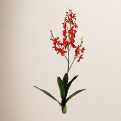 Dendrobium Orchid Stems