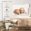 Brampt Golden Retriever de Brampt-107852914