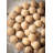 Vivas Garland-53922141-53922146