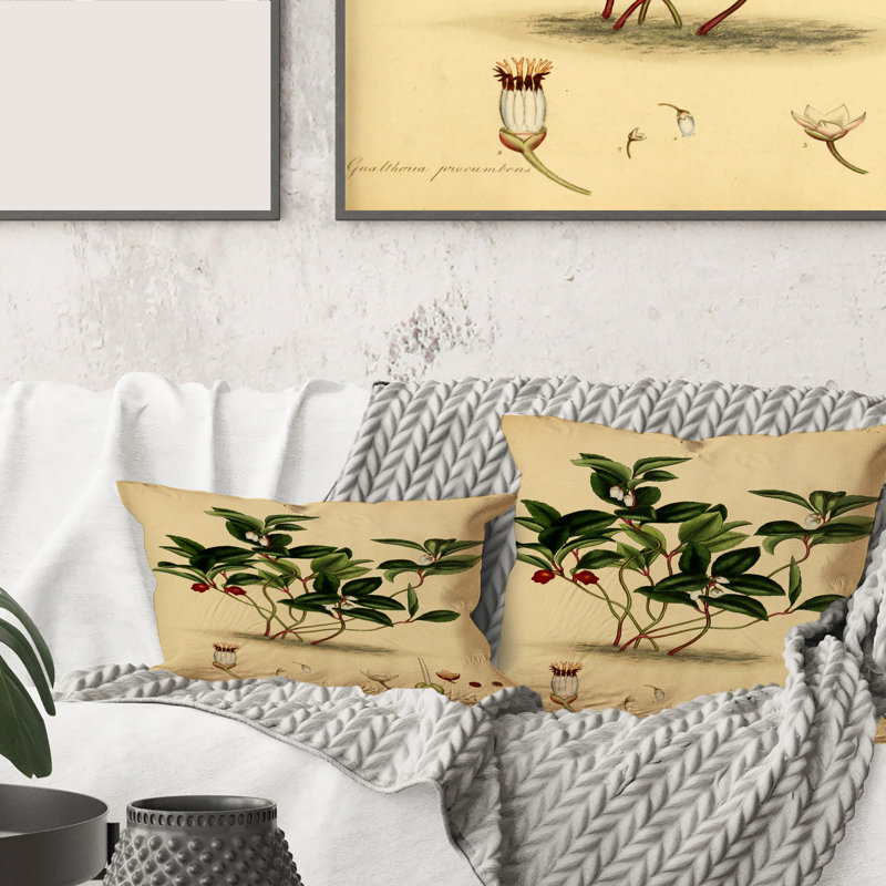 Housse et insert de coussin carré Plant Life III, 18" x 18"
