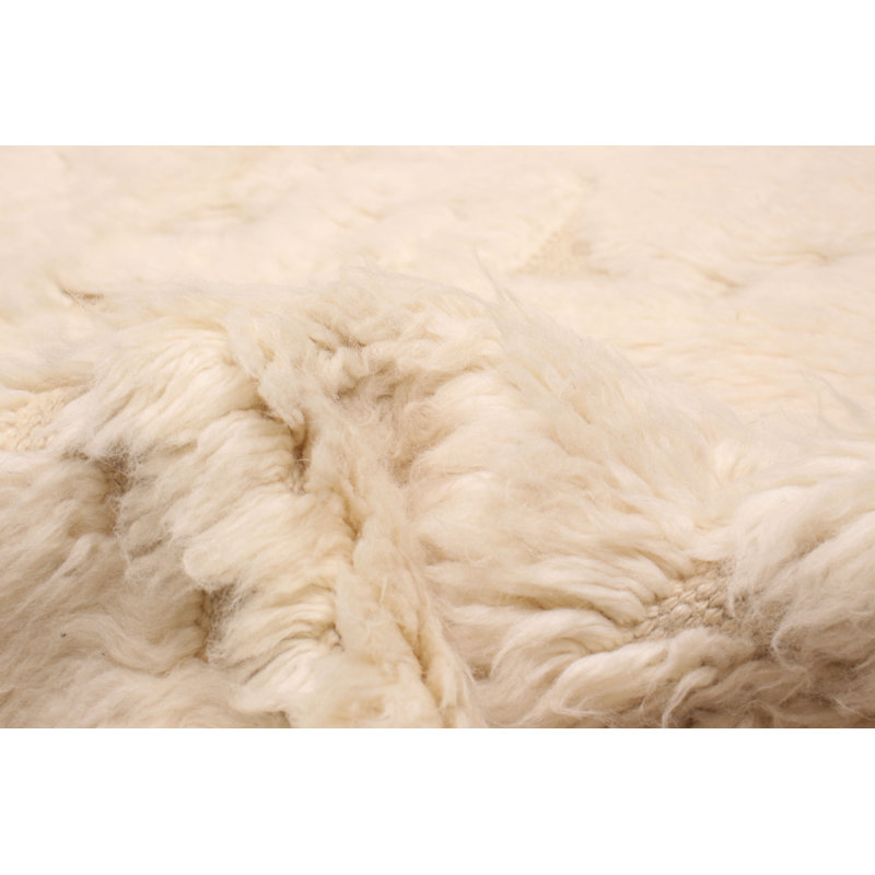 Grogan One-of-a-Kind 8'3" X 11'8" New Age Wool Area Rug in Cream