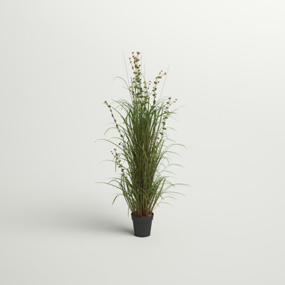 Herbe verte artificielle en pot et eucalyptus.