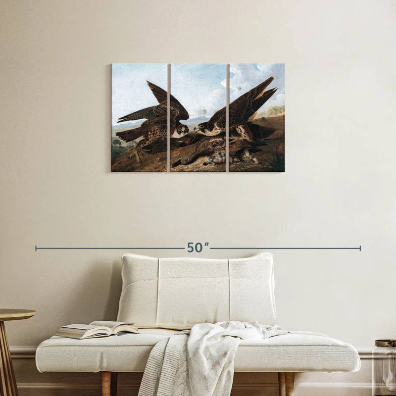 Brampt Peregrine Falcons, 20" H x 33" W