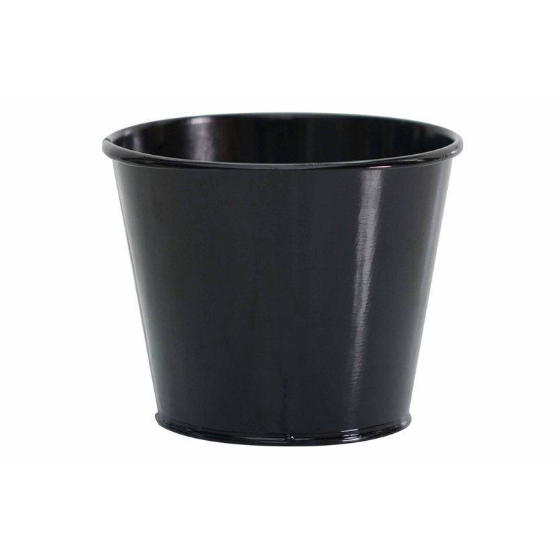 Gracie Oaks Bucket