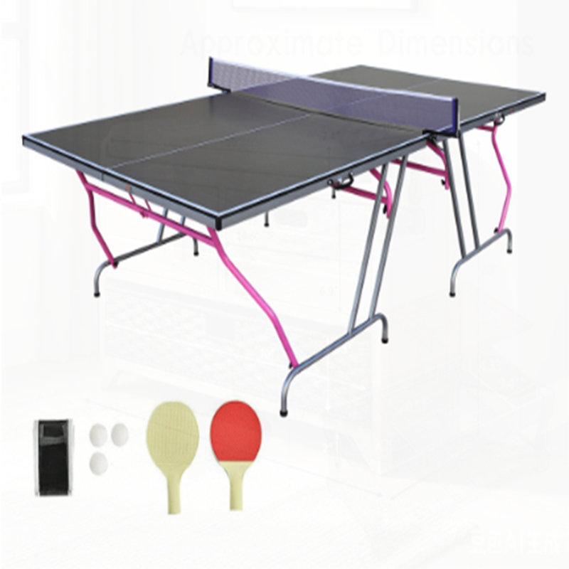 Portable Foldable Table Tennis Table by Double Fish - Complete Set Includes Net, 2 Paddles, 3 Balls for Indoor Outdoor Use