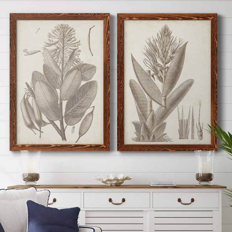 Sépia plantes exotiques I - ensemble de 2 reproductions de dessins encadrés, H 37,5 po x l 55 po x P 1,5 po