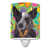 Black Australian Cattle Dog