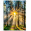 Wrapped Canvas Print-559093264