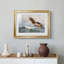 Aigles de mer (Havsornar) - Brun Lilofors - reproduction encadrée avec passe-partout et verre - 1897-943655657-943655656-943655655