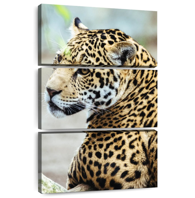 Brampt Jaguar Look, 38" H x 24" W